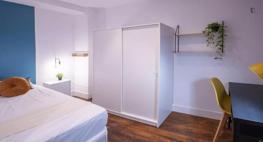 Charismatic bedroom near the Alameda metro - Valence - chambre - ImmoJeune