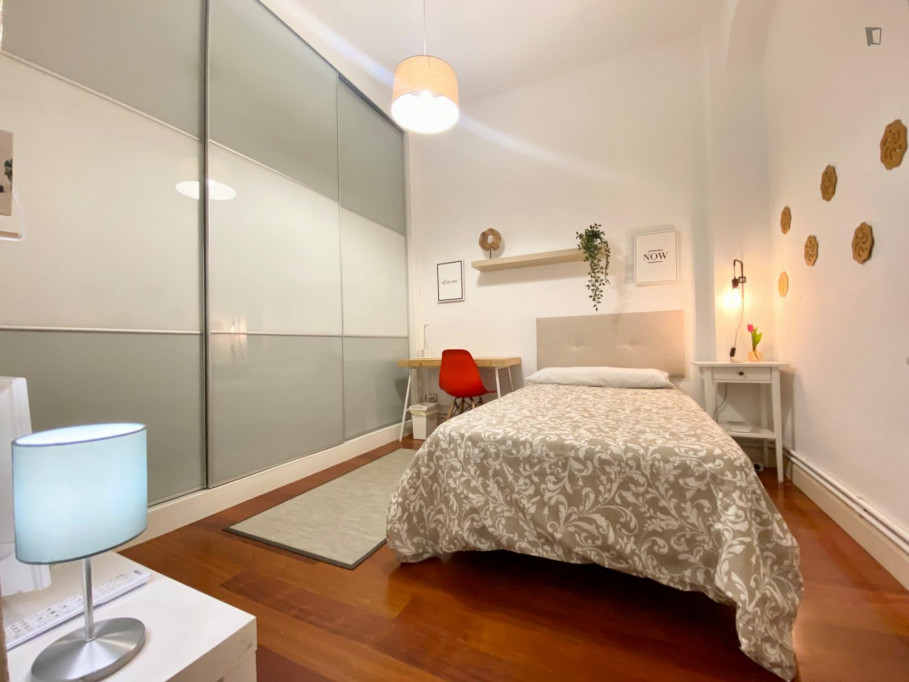 Wonderful single bedroom in a student flat, in Abando - Bilbao - chambre - ImmoJeune