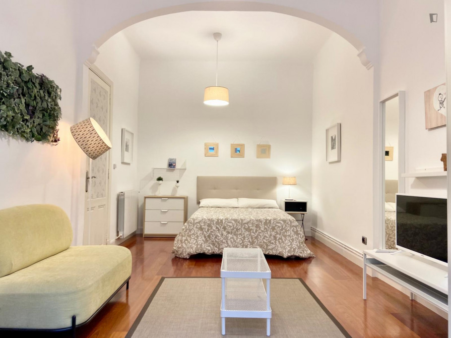 Excellent double bedroom in a 5-bedroom flat, in Abando - Bilbao - chambre - ImmoJeune