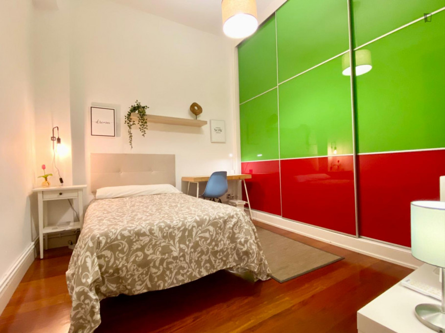 Elegant single bedroom near the Abando Indalecio Prieto train station - Bilbao - chambre - ImmoJeune