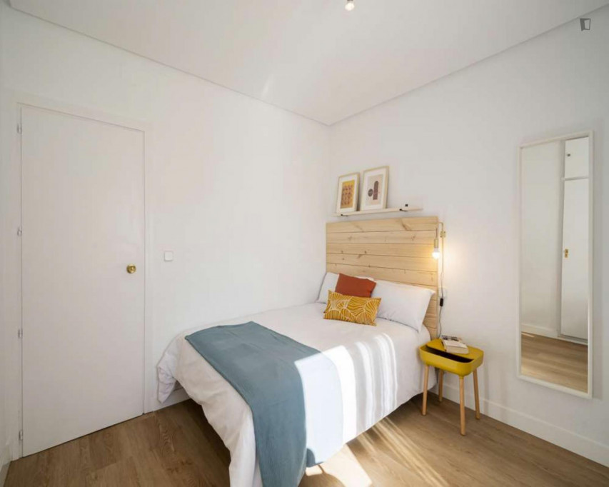 Snug double bedroom in a student flat, in Ciudad Universitária - Madrid - chambre - ImmoJeune