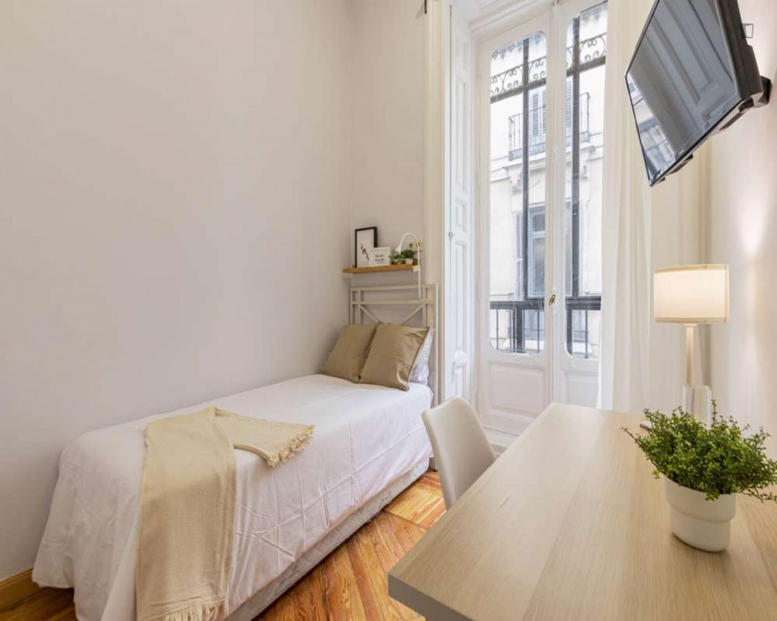 Interesting single ensuite bedroom near the Tribunal metro - Madrid - chambre - ImmoJeune