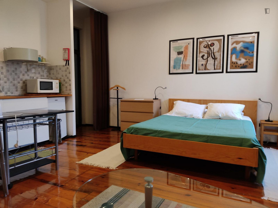 Homely studio in central Cedofeita