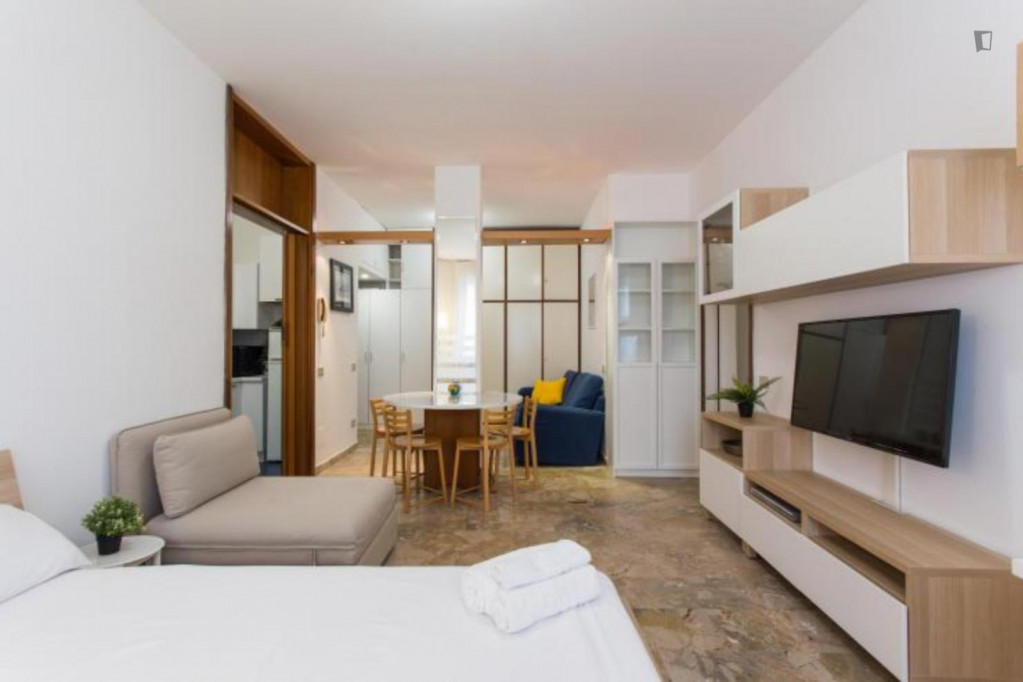 Pleasant studio in Washington neighbourhood - Milan - chambre - ImmoJeune