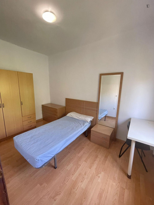 Single bedroom in a student flat, in Los Remedios - Séville - chambre - ImmoJeune