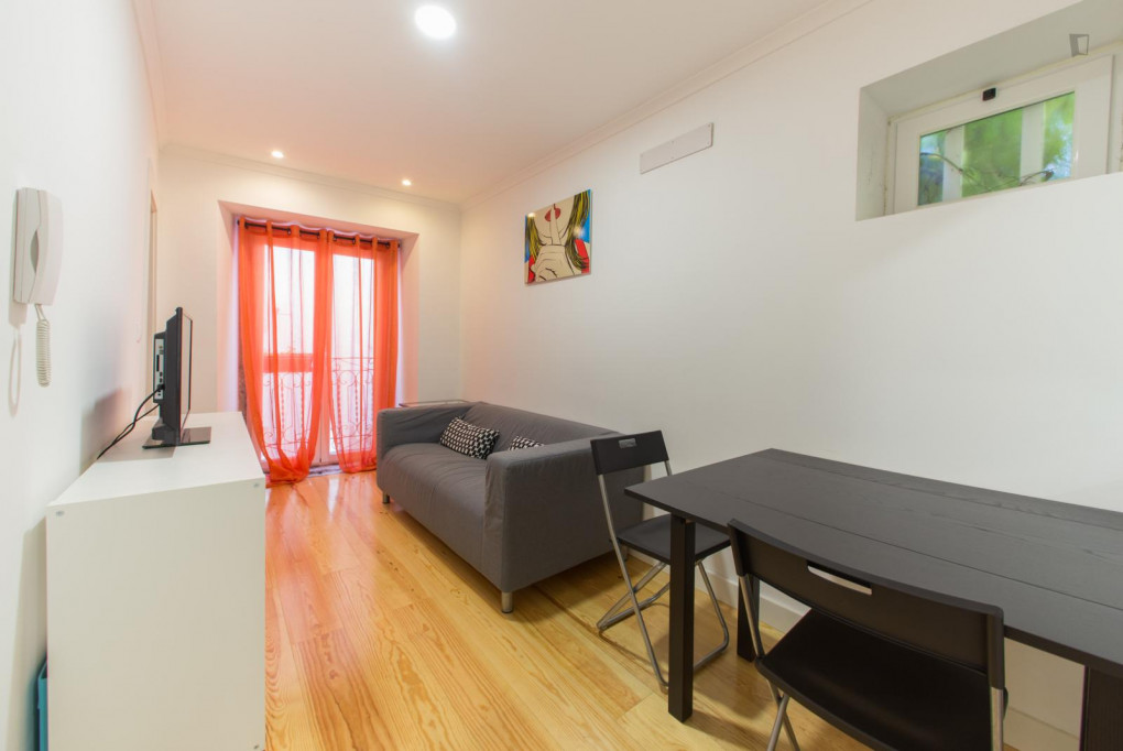 Appealing 1-bedroom flat near Instituto Superior Economia e Gestão - Lisbonne - chambre - ImmoJeune