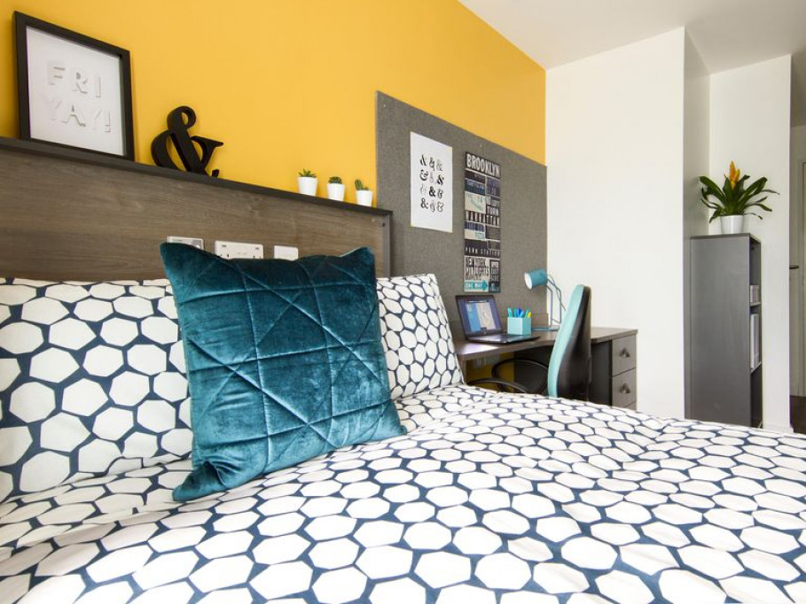 Beckley Point - Plymouth - chambre - ImmoJeune