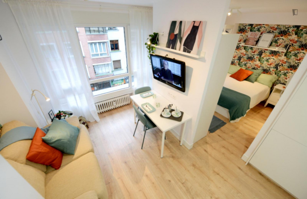 Graceful 1-bedroom apartment in Abando