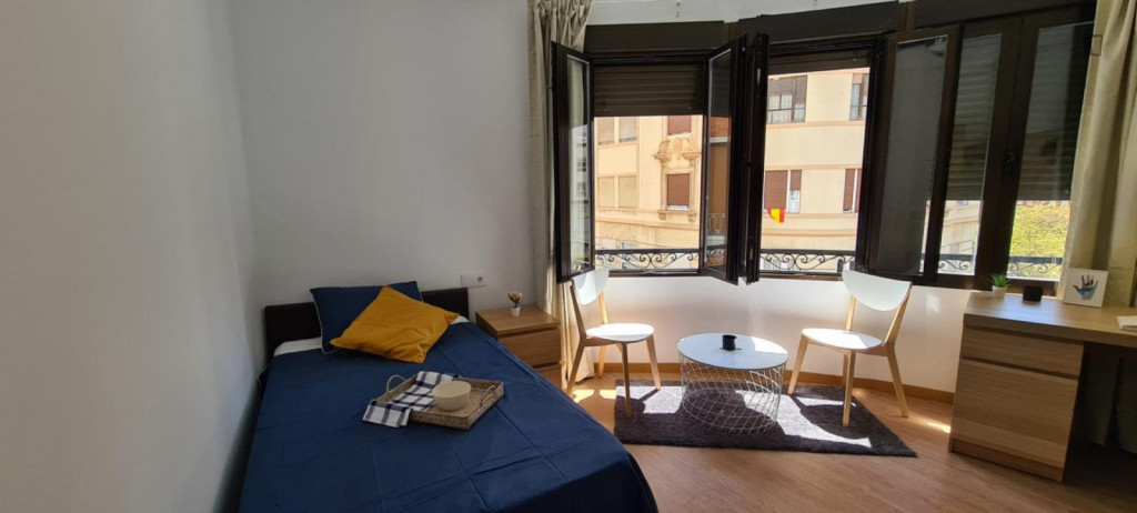 Attractive single bedroom in a student flat, in Ciutat Vella - Valence - chambre - ImmoJeune