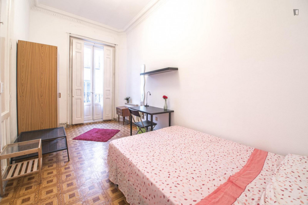 Spacious double bedroom in Sol - Madrid - chambre - ImmoJeune