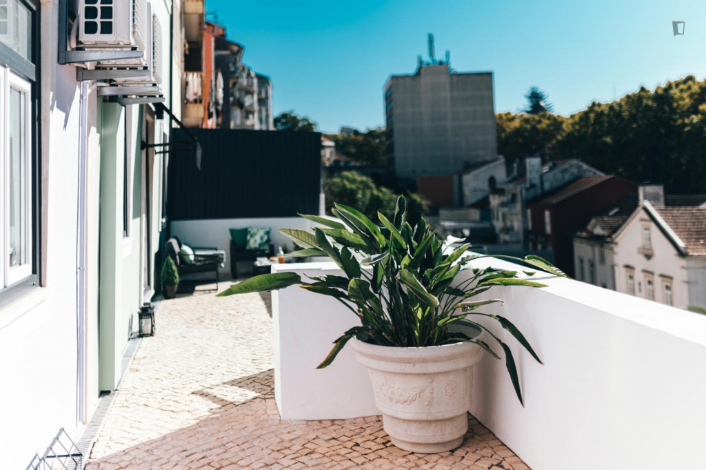 Cool studio in the heart of Coimbra, in Montes Claros