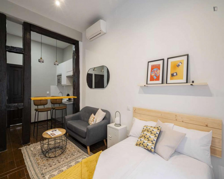 Attractive single ensuite bedroom, in a 6-bedroom flat in Malasaña - Madrid - chambre - ImmoJeune