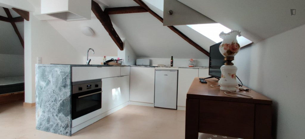 Snug studio close to Praça da República - Coimbra - chambre - ImmoJeune