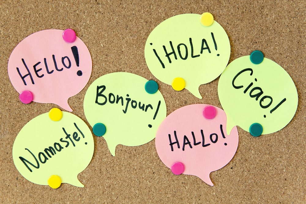 Studying in a Foreign Language