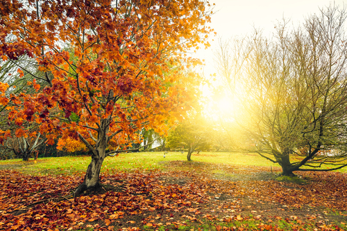Autumn in Australia