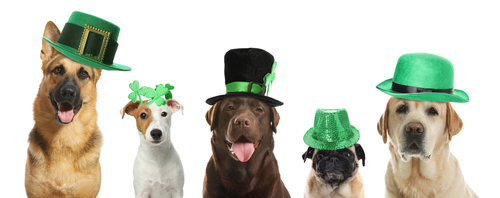 St Patrick's Day