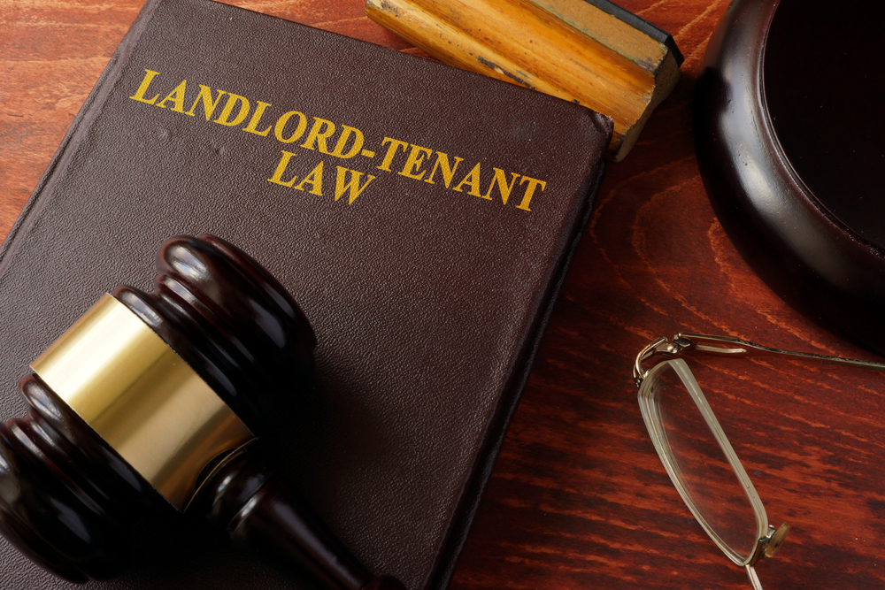 Deal with the landlord