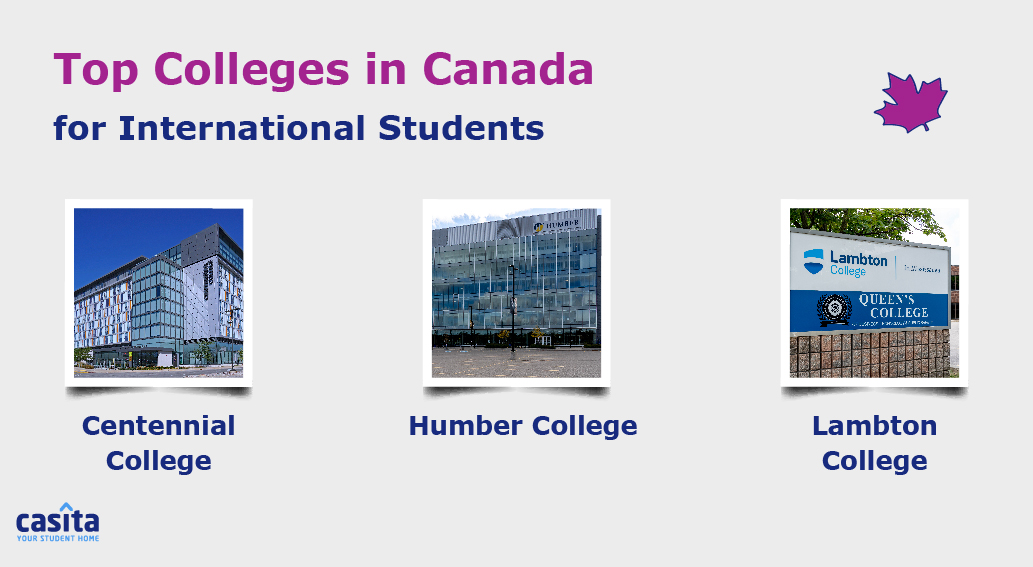 top-colleges-canada