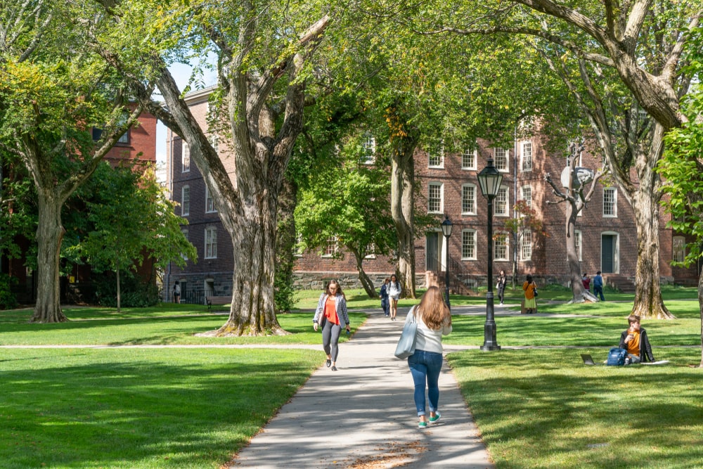 Colleges in The US