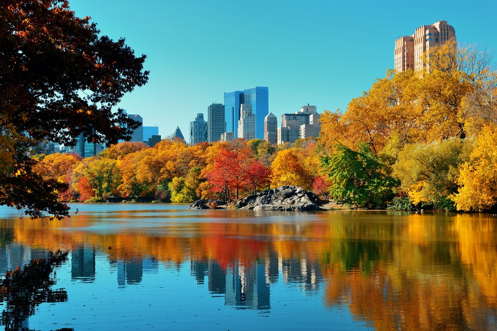 6 Free Attractions in New York City